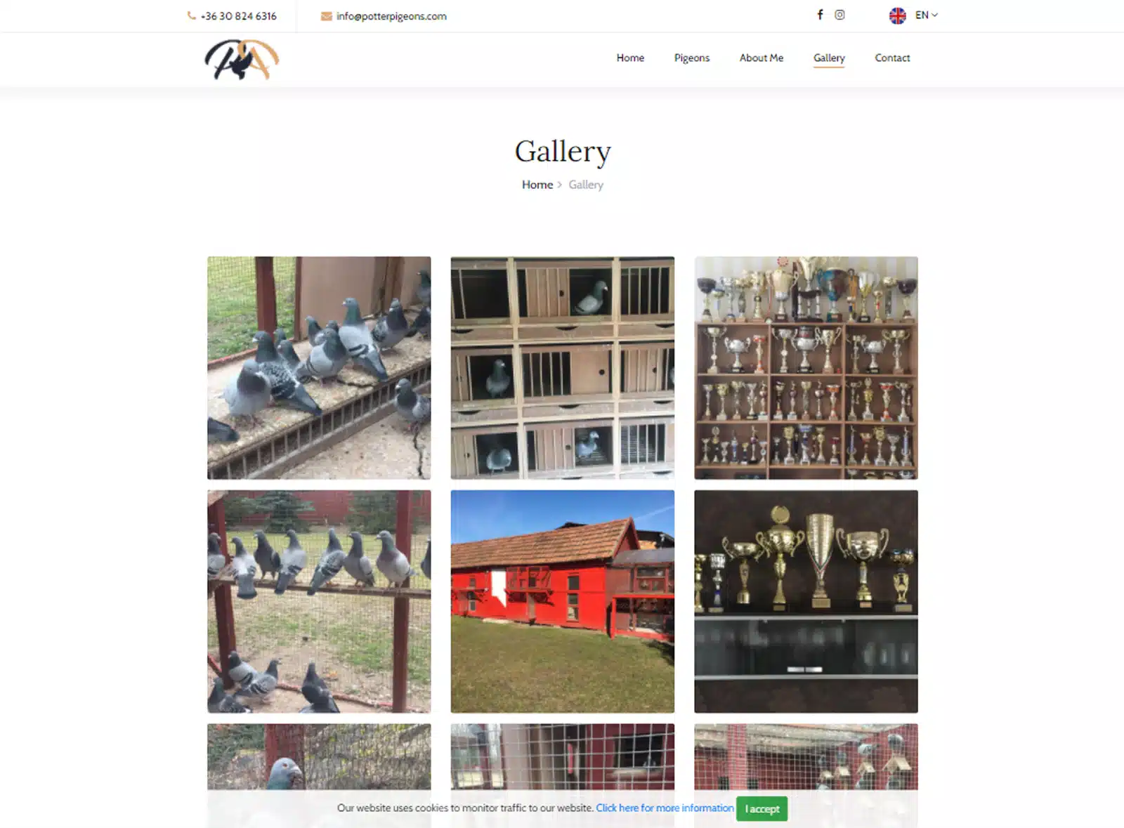 Weboldal készítés - potterpigeons.com - 2
