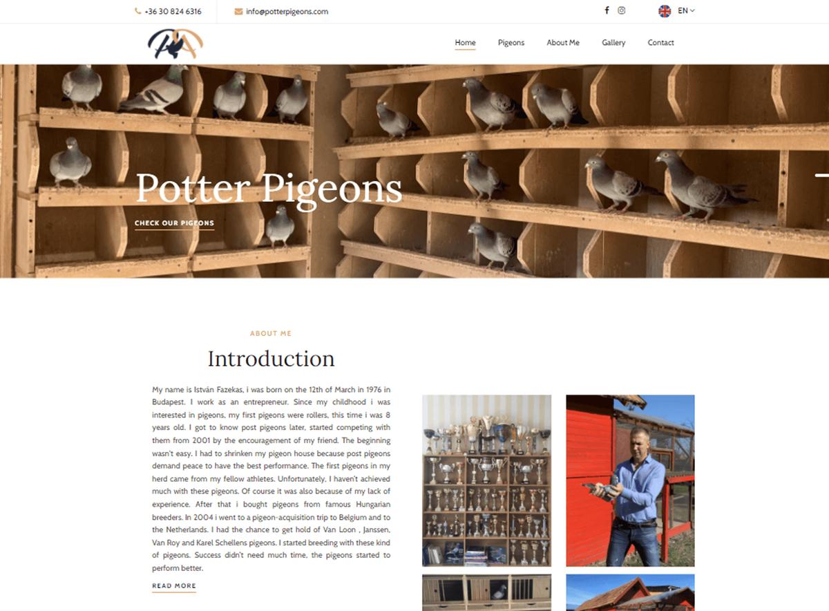 Weboldal készítés - potterpigeons.com - 1